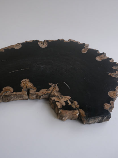 Wood Plate #003