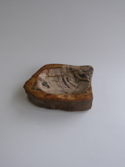 Accessory Tray #011