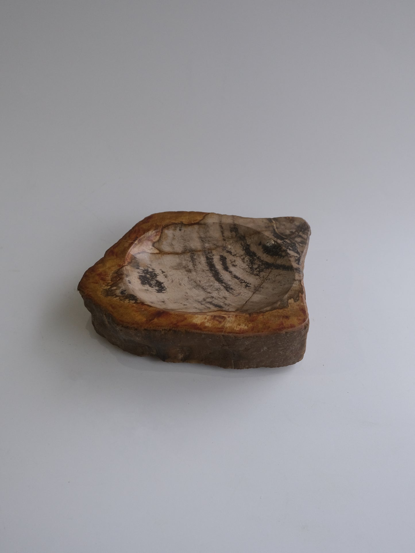 Accessory Tray #011
