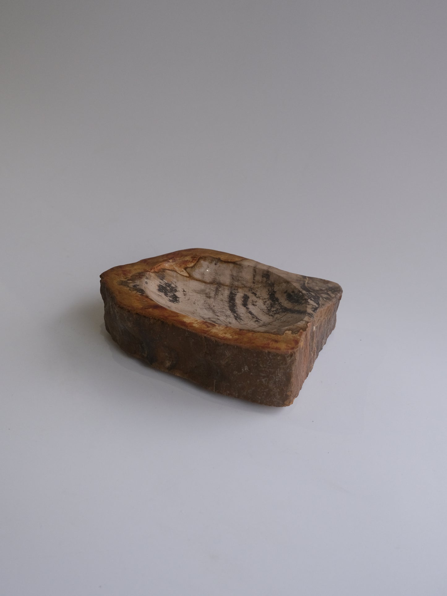 Accessory Tray #011