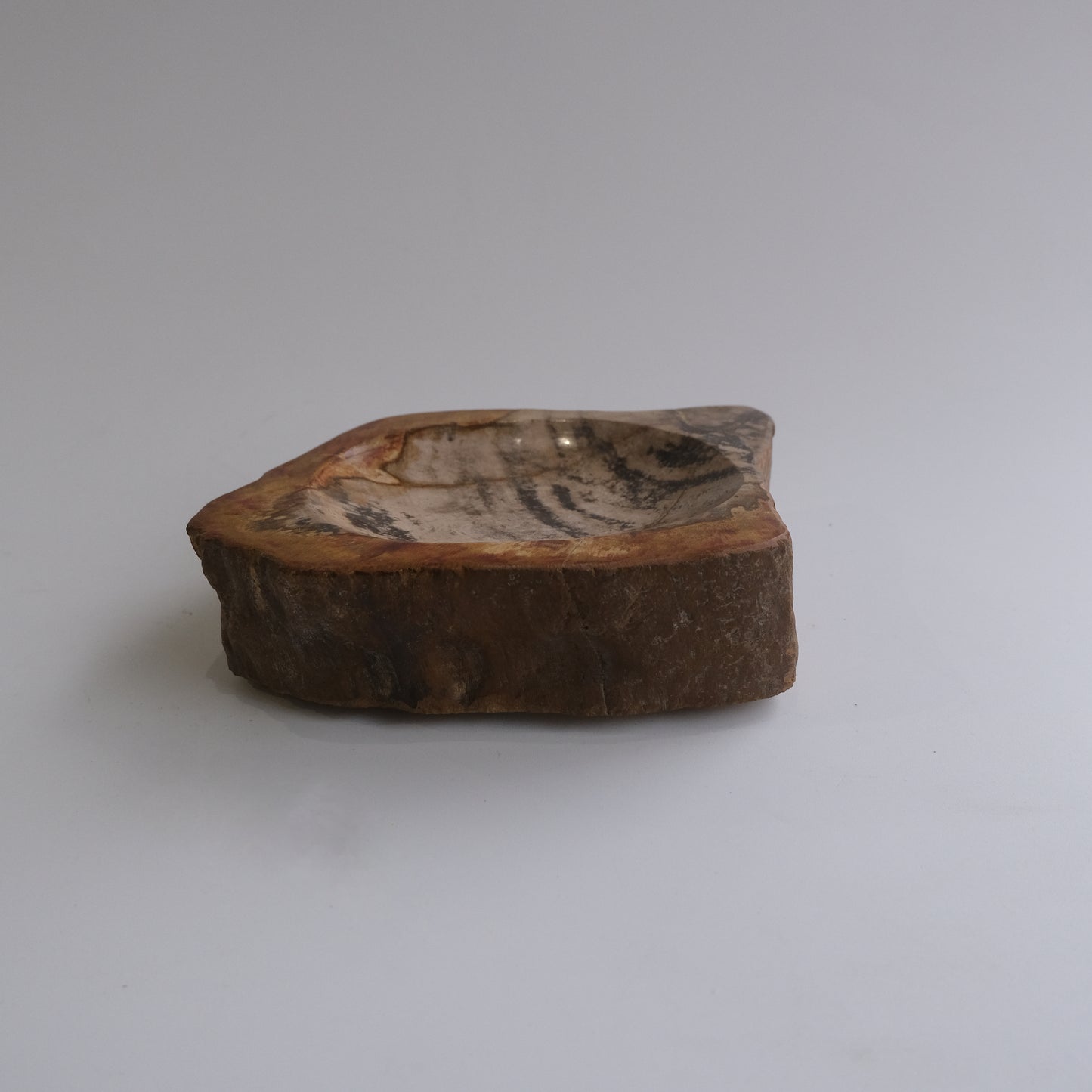 Accessory Tray #011