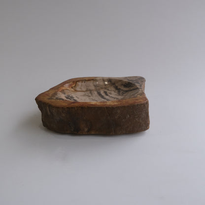 Accessory Tray #011