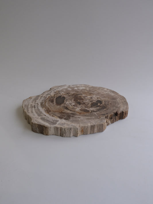 Wood Plate #017