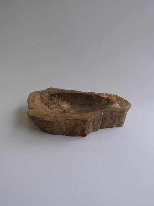 Accessory Tray #244
