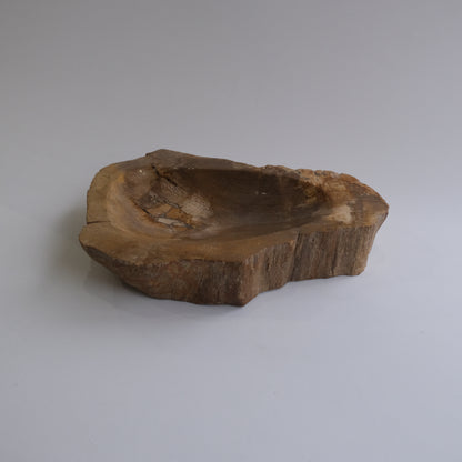 Accessory Tray #244