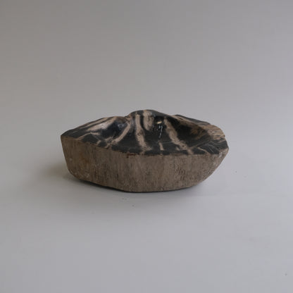 Accessory Tray #025