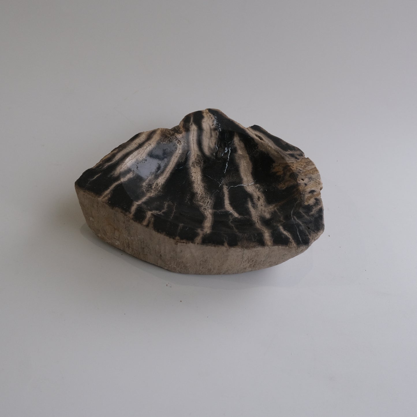 Accessory Tray #025