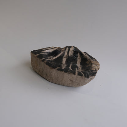 Accessory Tray #025