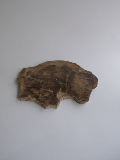 Wood Plate Medium #017