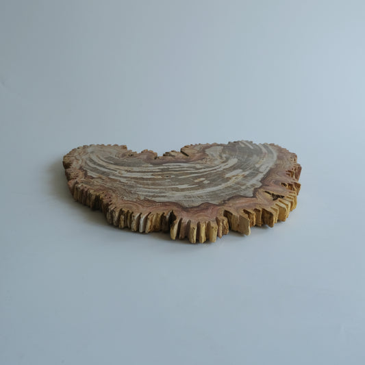 Wood Plate #034