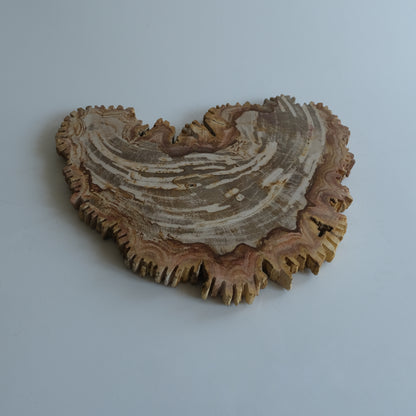 Wood Plate #034