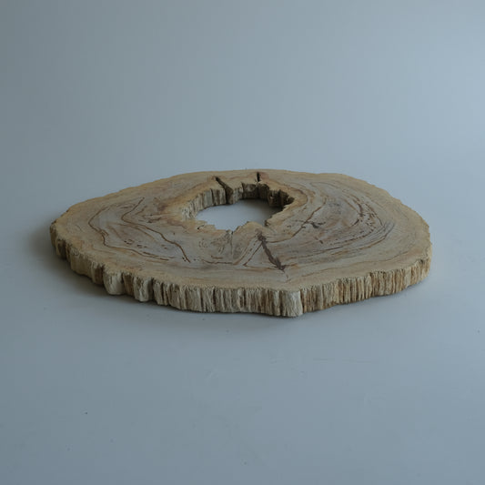 Wood Plate #035