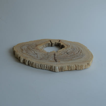 Wood Plate #035