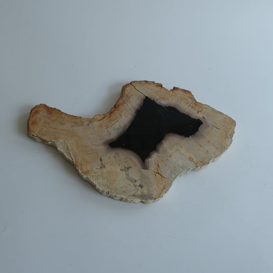 Wood Plate #032