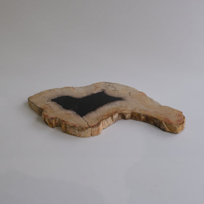 Wood Plate #032