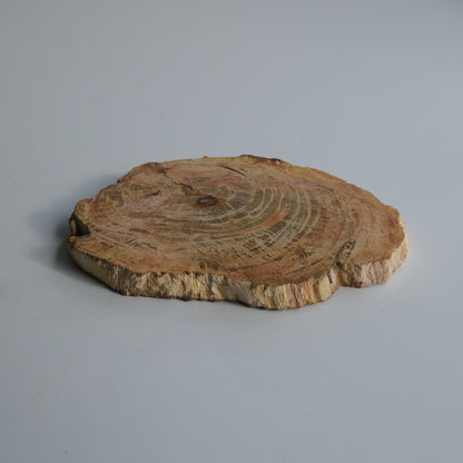 Wood Plate Small #004