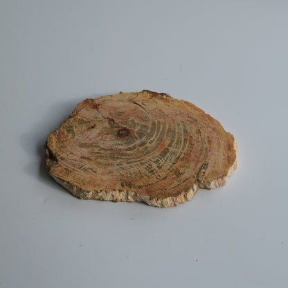 Wood Plate Small #004