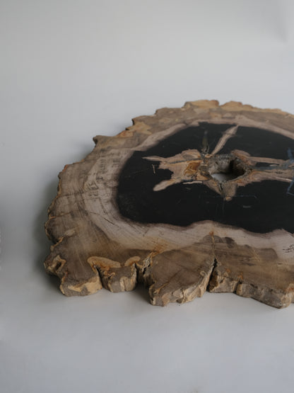 Wood Plate #004