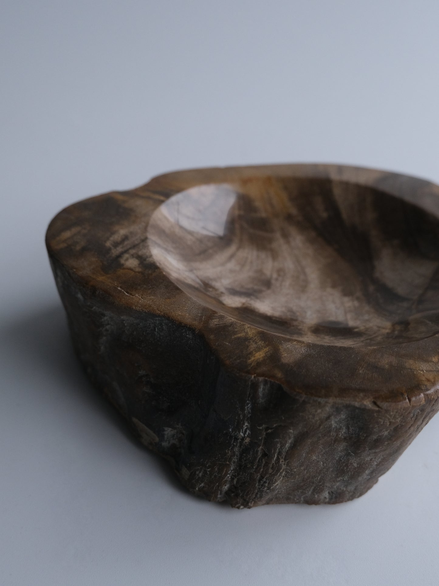 Accessory Tray #005