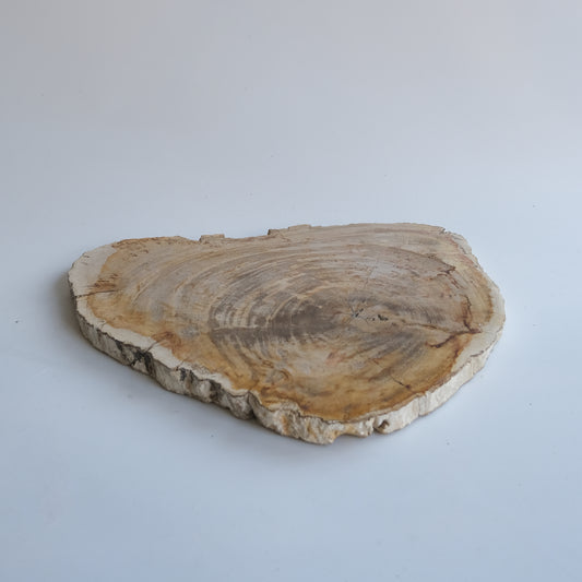 Wood Plate #019