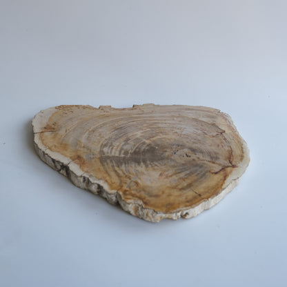 Wood Plate #019