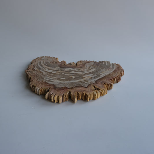 Wood Plate #034