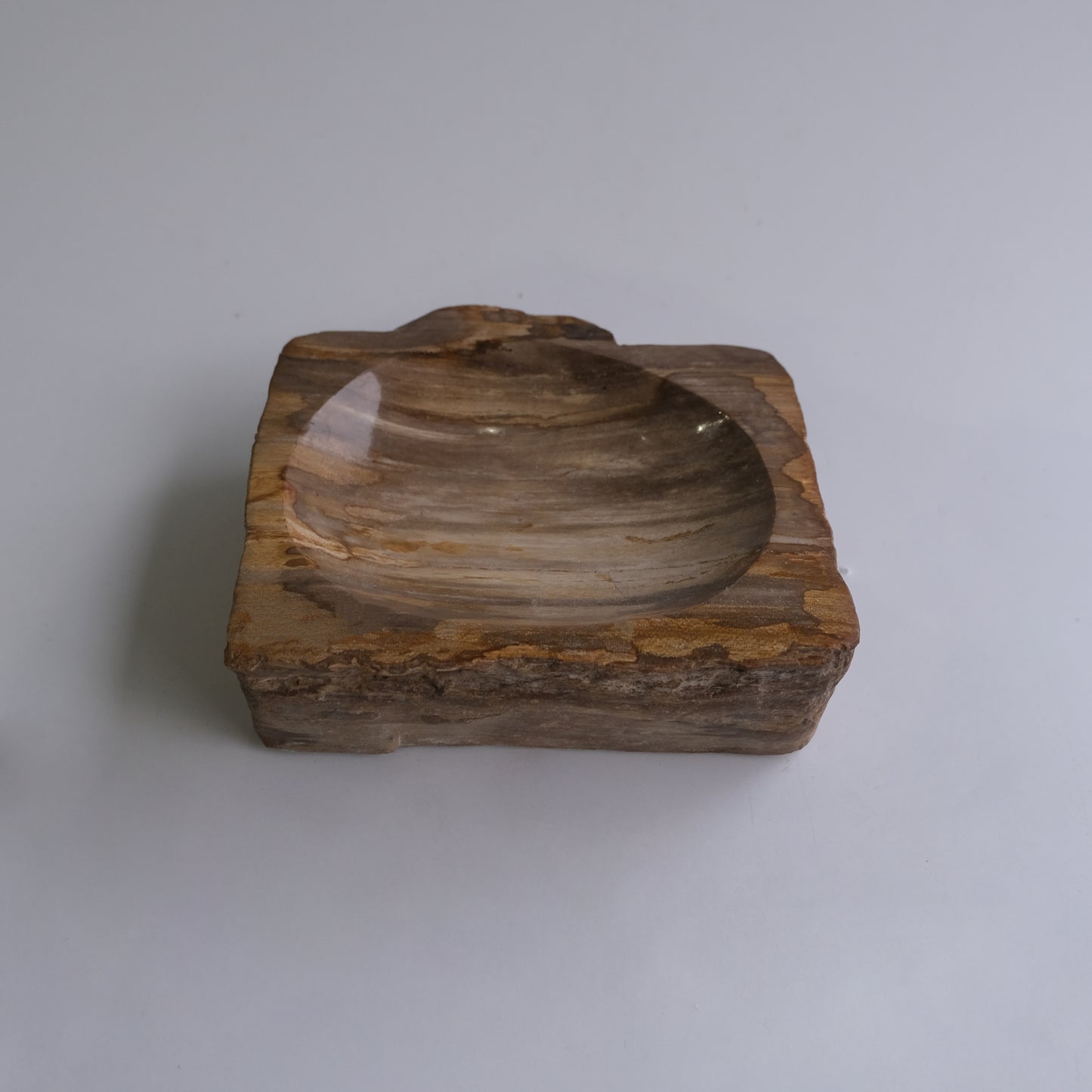 Accessory Tray #020