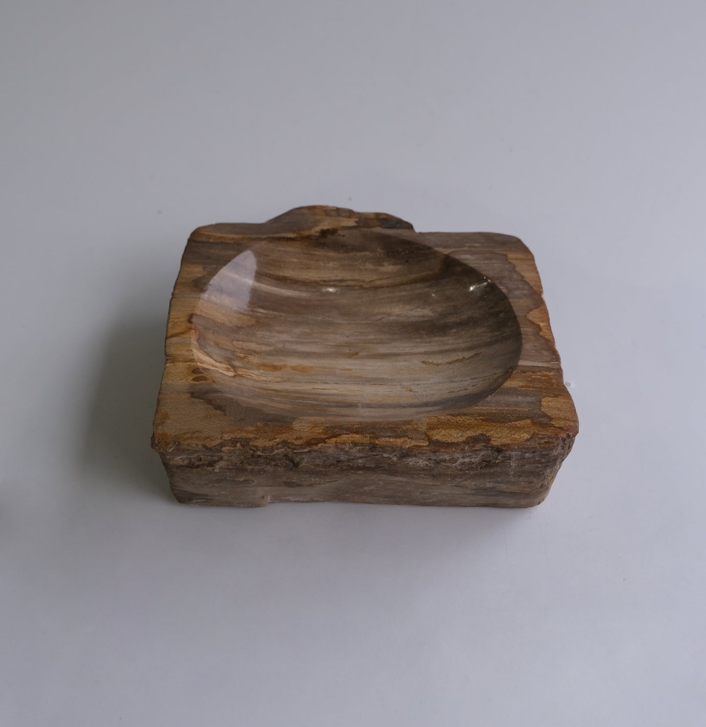 Accessory Tray #020