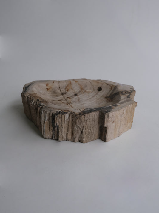 Accessory Tray #037