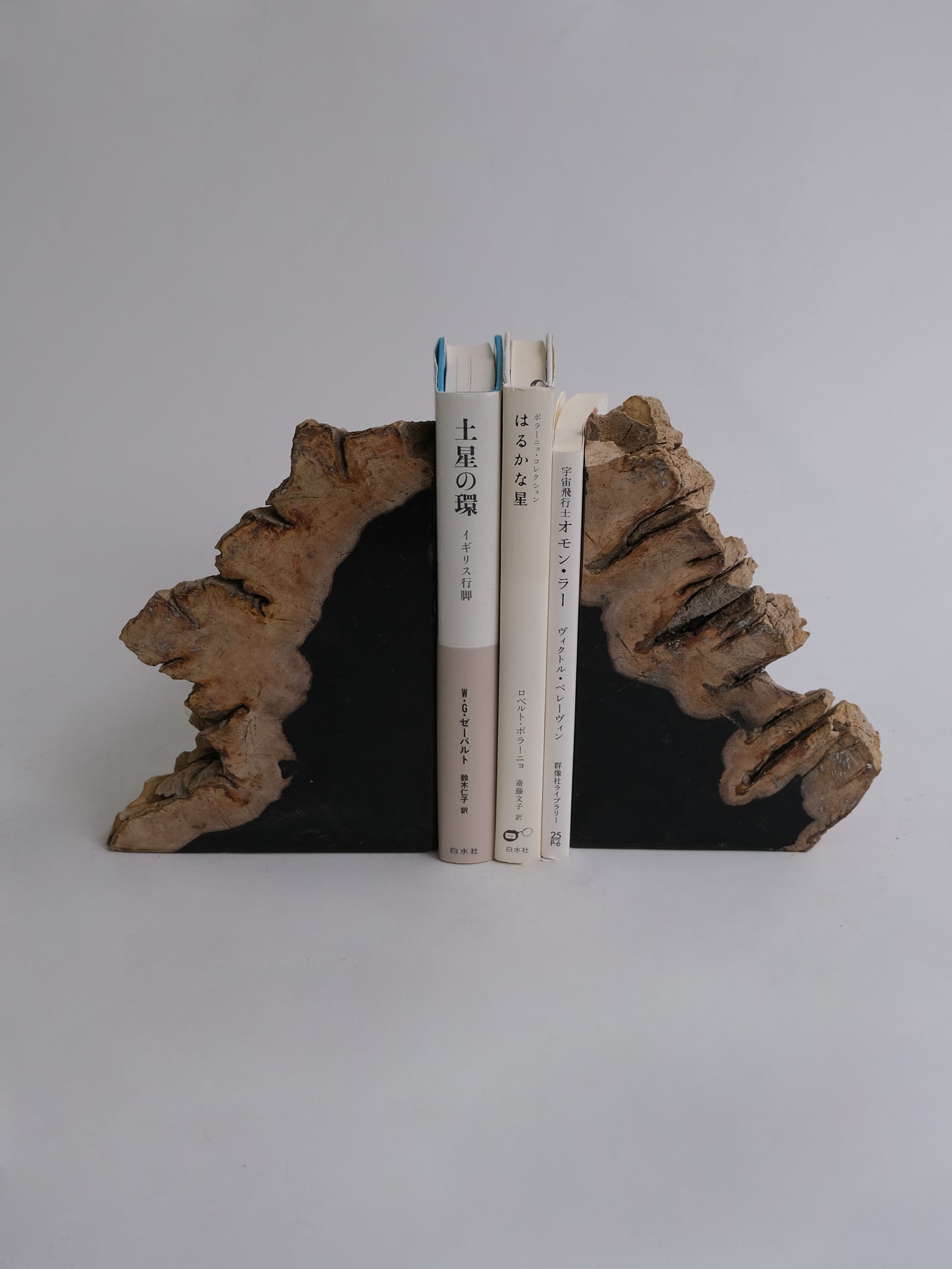 Book End #099
