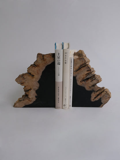 Book End #099