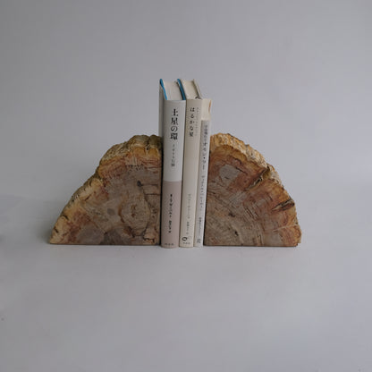 Book End #101
