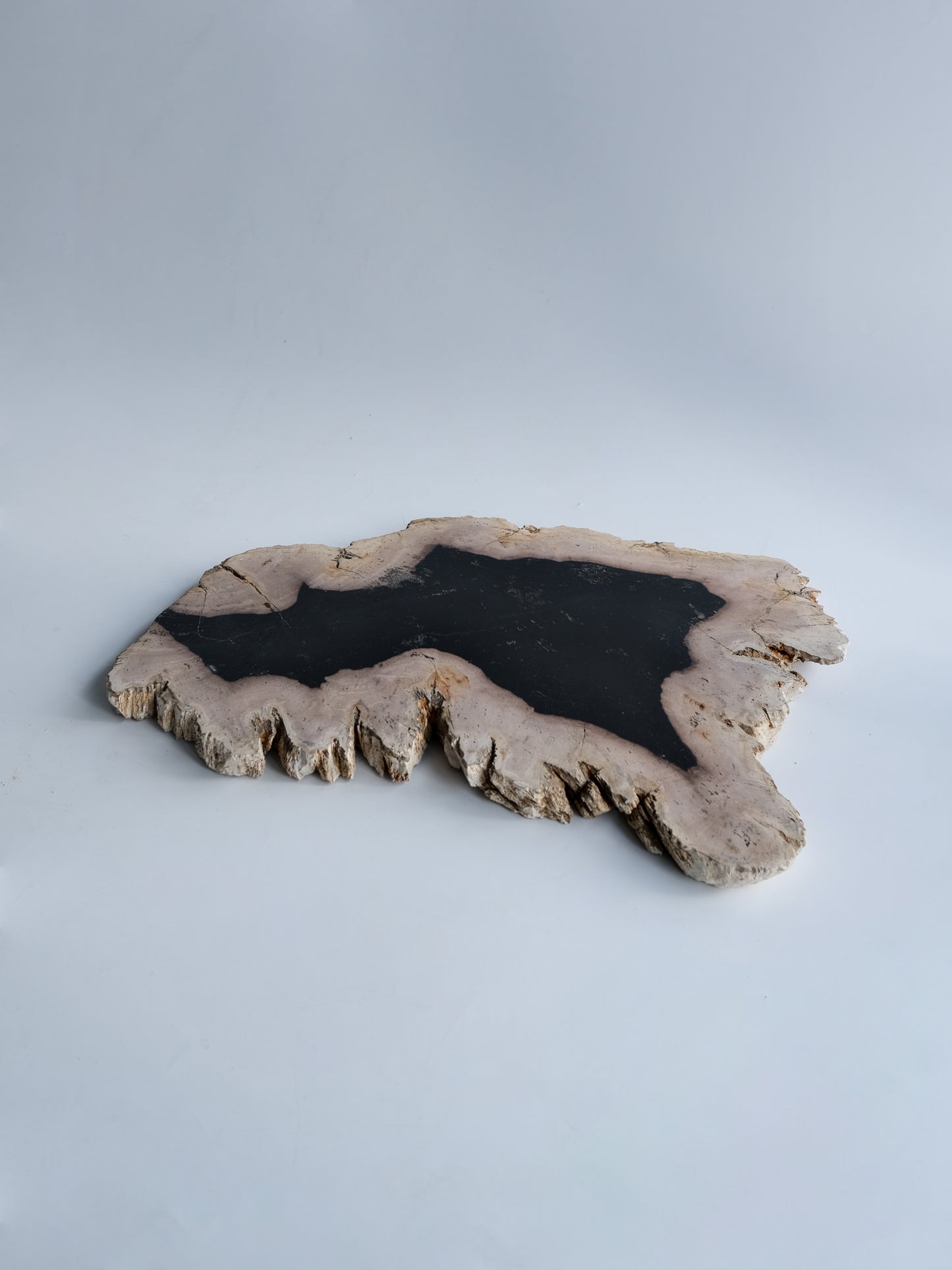 Wood Plate #036