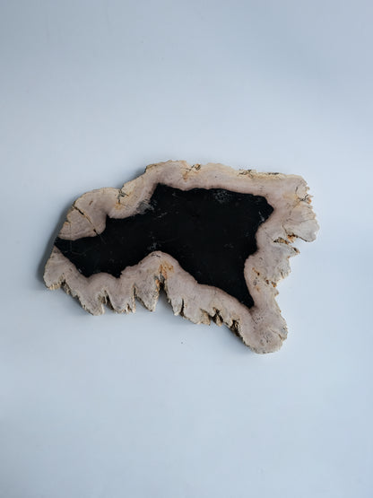 Wood Plate #036